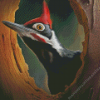 Pileated Woodpecker Diamond Painting