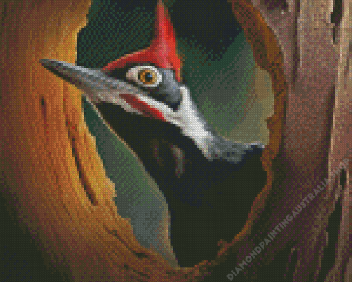 Pileated Woodpecker Diamond Painting