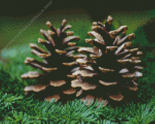 Pine Cones Diamond Painting