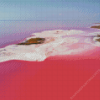 Pink Lake In Kazakhstan Diamond Painting