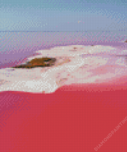 Pink Lake In Kazakhstan Diamond Painting