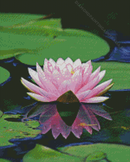 Pink Water Lily Flower And Lake Diamond Painting