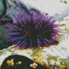 Purple Sea Urchin Diamond Painting