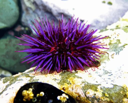 Purple Sea Urchin Diamond Painting