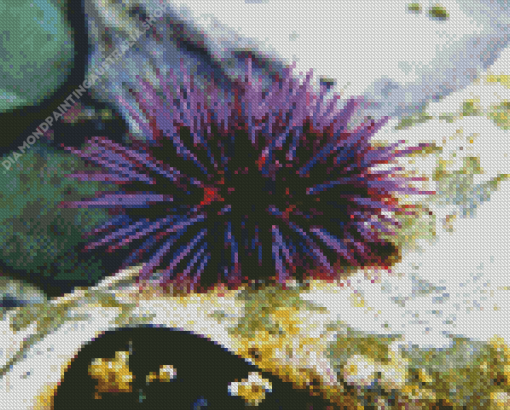 Purple Sea Urchin Diamond Painting