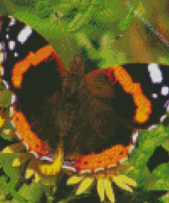 Red Admiral Butterfly Diamond Painting