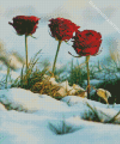 Red Flowers In Snow Diamond Painting