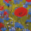 Red Poppies And Blue Cornflowers Diamond Painting