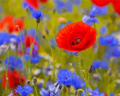 Red Poppies And Blue Cornflowers Diamond Painting