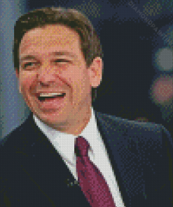 Ron DeSantis Diamond Painting