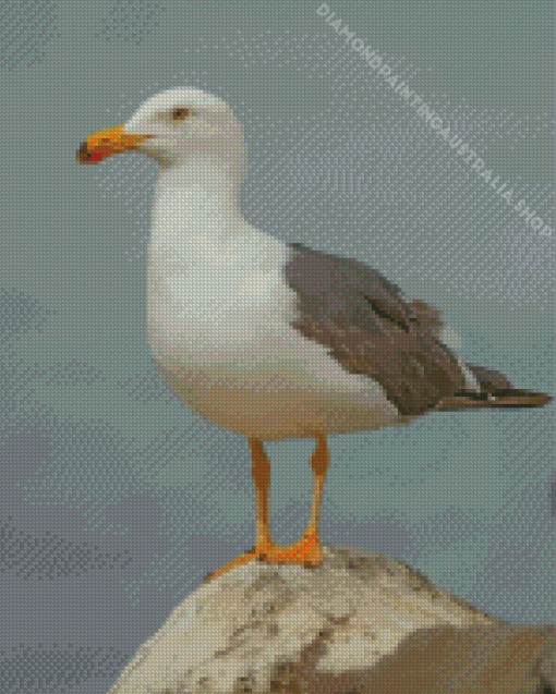 Seagull Diamond Painting