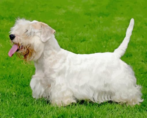 Sealyham Terrier Diamond Painting