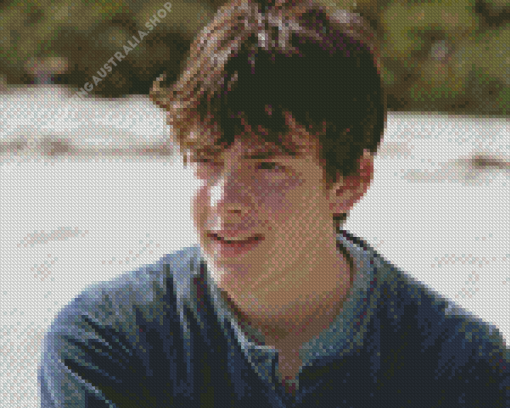 Skandar Keynes As Edmund Pevensie Diamond Painting