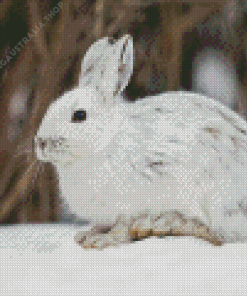 Snowshoe Hare Diamond Painting