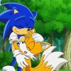 Sonic And Tails Diamond Painting