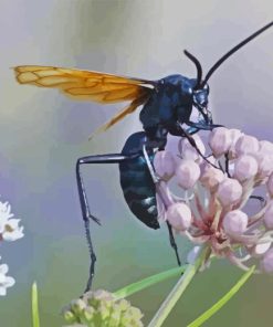 Tarantula Hawk On Flower Diamond Painting