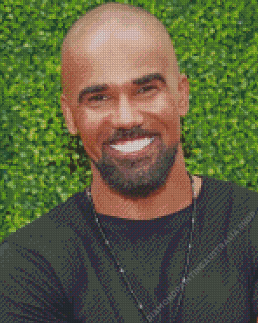 The Actor Shemar Moore Diamond Painting