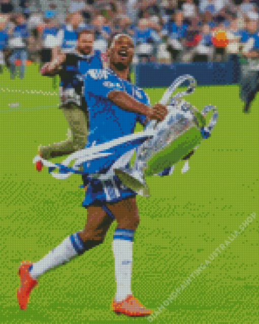 The Footballer Drogba Diamond Painting