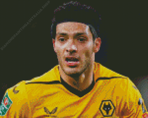 The Mexican Footballer Raul Jimenez Diamond Painting