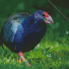 The South Island Takahe Diamond Painting