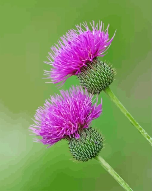 Thistle Diamond Painting