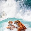 Tigers In Pool Diamond Painting