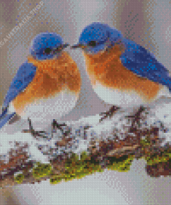 Two Blue Birds Diamond Painting