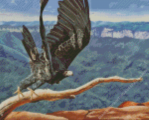 Wedge Tailed Eagle Bird Diamond Painting