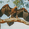 Wedge Tailed Eagle On Tree Diamond Painting