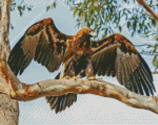 Wedge Tailed Eagle On Tree Diamond Painting