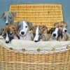 Whippet Puppies In Basket Diamond Painting