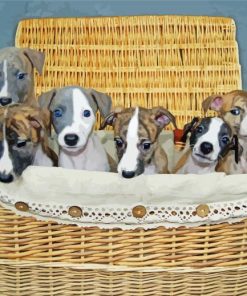 Whippet Puppies In Basket Diamond Painting