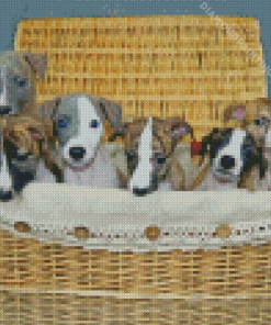 Whippet Puppies In Basket Diamond Painting