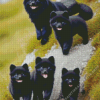 Black Pomeranian Family Diamond Painting