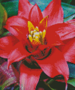 Bromeliaceae Flower Diamond Painting