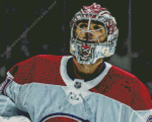 the player Carey Price Diamond Painting