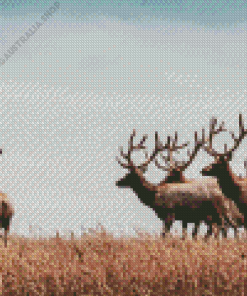 Elk Herds Diamond Painting