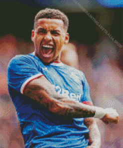 James Tavernier Diamond Painting