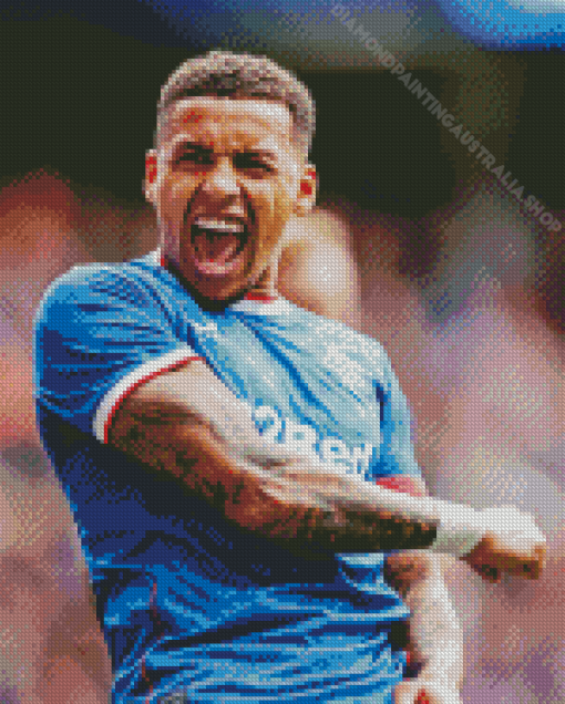 James Tavernier Diamond Painting