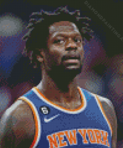 Julius Randle Diamond Painting