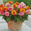 Pink And Orange Begonias Diamond Painting