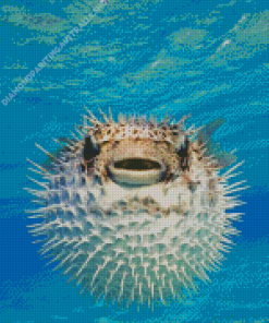 Pufferfish Art Diamond Painting