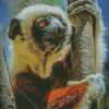 Sifaka animal Diamond art