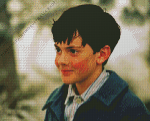 Skandar Keynes Diamond Painting