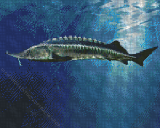 Sturgeon Art Diamond Painting