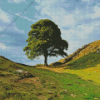 Sycamore Gap Diamond Painting