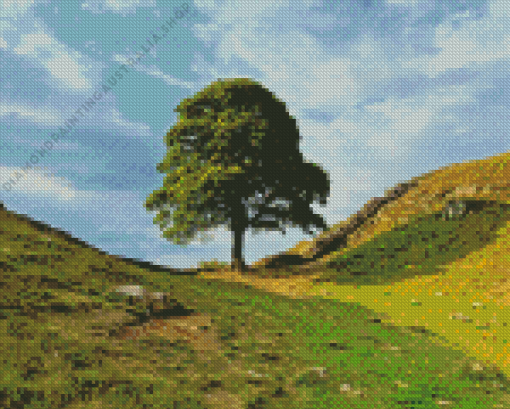 Sycamore Gap Diamond Painting