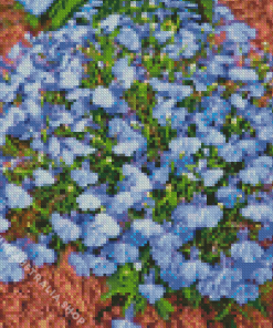 Alyssum flowers Diamond Painting