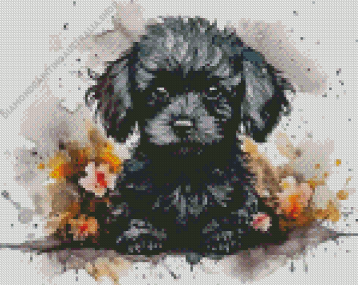 Black Poodles Diamond Painting