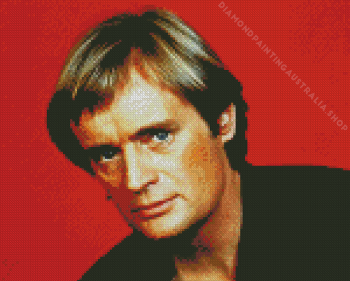 Cool Illya Kuryakin Diamond Painting